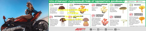 МДМА Новодвинск