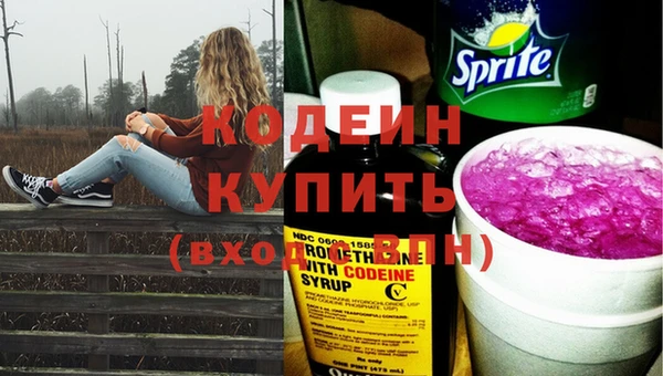 прущие грибы Видное