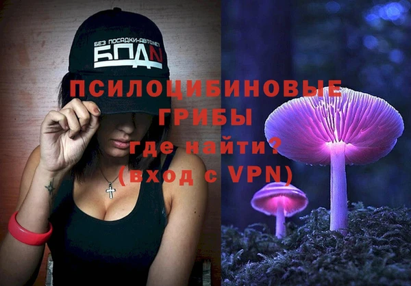 метадон Няндома