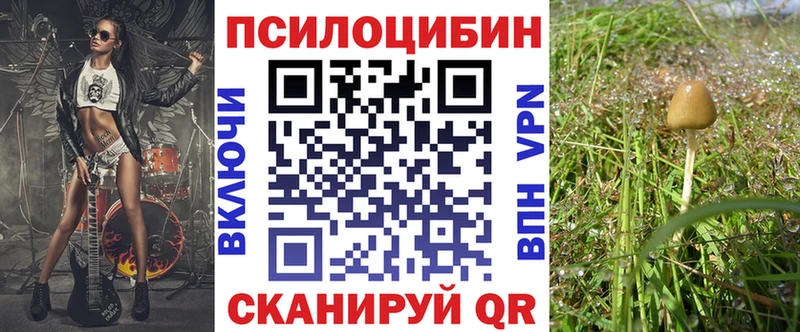 Галлюциногенные грибы мицелий  сколько стоит  Чехов 